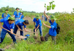 Dịch vụ trồng cây xanh - Công Ty TNHH Sinh Vật Cảnh Vườn Xanh